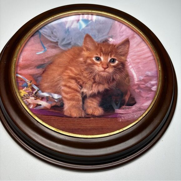 Adorable Kitten  TuTu Cutie Wall Art - Picture 1 of 5